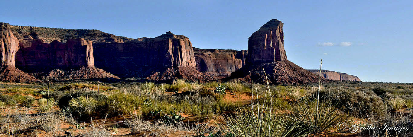 Grey Whiskers, Arizona