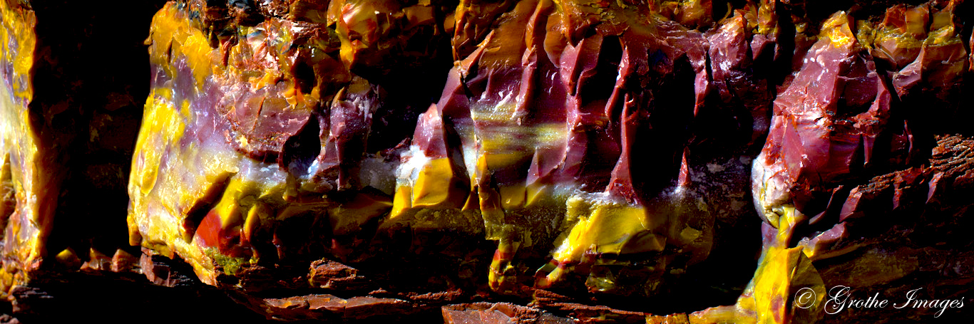 Petrified wood from Petrified Forest National Park, Arizona