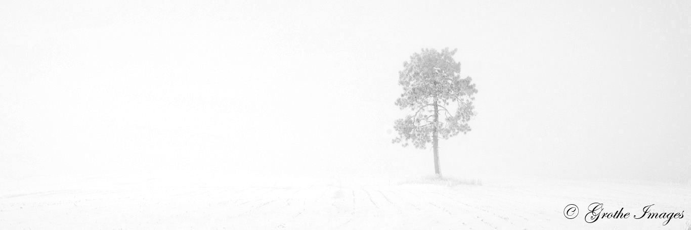 Lone Tree, Portage County, Wisconsin